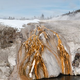 Illustration for article titled The Supervolcano That's About to Shatter Yellowstone